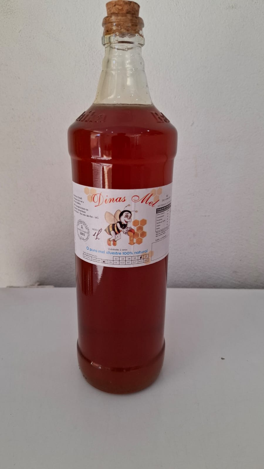 Mel de Abelhas Silvestres